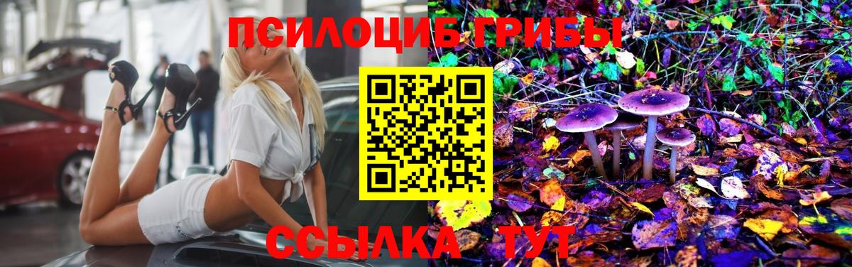 Канаш  Псилоцибиновые грибы прущие грибы  Галлюциногенные грибы Psilocybine cubensis  Вход с VPN 